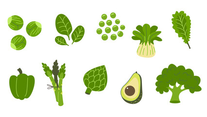 Illustration of green vegetables: broccoli, asparagus, avocado, cauliflower, spinach. Healthy food and vegetarian diet concept. Design for recipe book, menu, poster, educational material