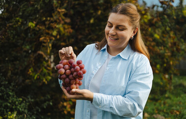 Smiling woman holding bunch of pink grapes, vineyard background. High quality photo