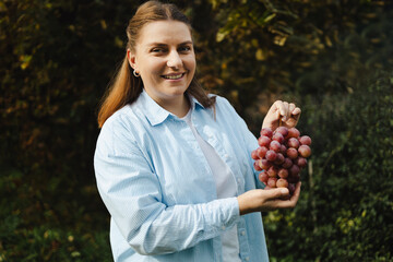 Smiling woman holding bunch of pink grapes, vineyard background. High quality photo