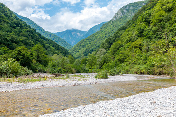 A summer mountain landscape, the mountain slopes are covered with trees