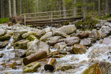 Morskie Oko trail , hike in the Tatras mountains , old wooden bridge over the river © eric
