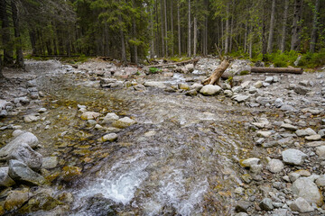 Morskie Oko trail , hike in the Tatras mountains