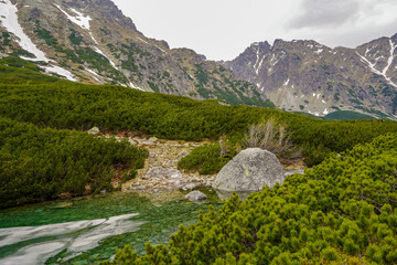 Fototapeta na wymiar Morskie Oko trail , hike in the Tatras mountains , five polish ponds valley 