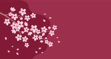 Pink cherry blossom branch with falling petals on a red burgundy background, copy space. Vector illustration in flat style