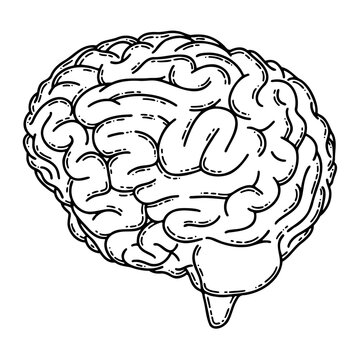 Realistic human brain line art vector. Psychological disease, mental health issues, intelligence and creativity concept