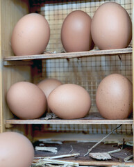 front view on chicken eggs in a rustic box opening on wooden background