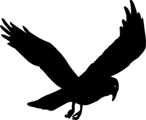 silhouette of crow