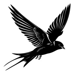 Silhouette swallow bird flaying black color only full body - obrazy, fototapety, plakaty