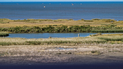 Idyllic scenic nature landscape scenery in Mississippi River delta with marsh, fisher boats,...