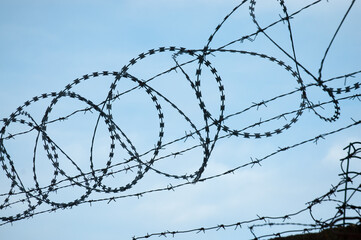 barbed wire Fidget-Alligator against a blue sky