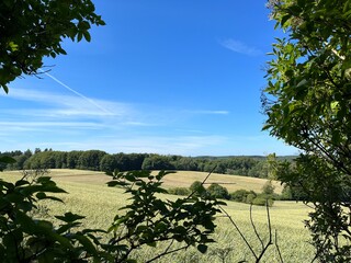 field and blue sky