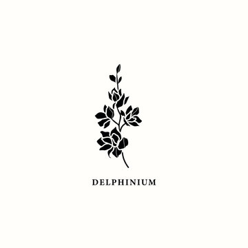 Flat vector delphinium of larkspur flower illustration