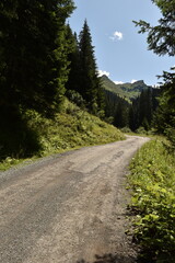 Fototapeta na wymiar Gravel Road Leading Through the Lush Green Austrian Alps