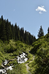  Mountain Path Along a Stream with Alpine Flora in Austria - 740933763
