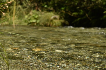  Crystal Clear Stream Waters on a Hiking Trail in Austria - 740933769