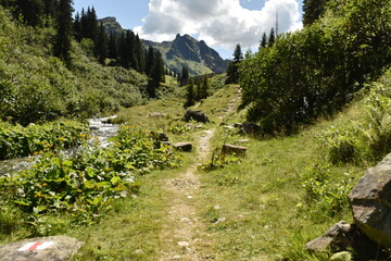  Mountain Path Along a Stream with Alpine Flora in Austria - 740933783