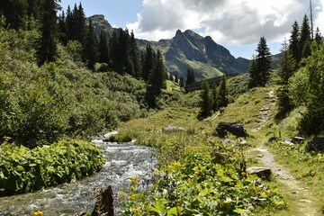 Mountain Path Along a Stream with Alpine Flora in Austria - 740933788