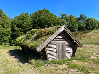 wooden house in the forest