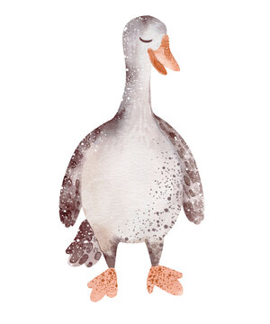 recommend clip art: Poultry goose. Watercolor illustration of a bird isolated on a white background. Farm animal silhouette hand drawn. Waterfowl card child character for Easter.