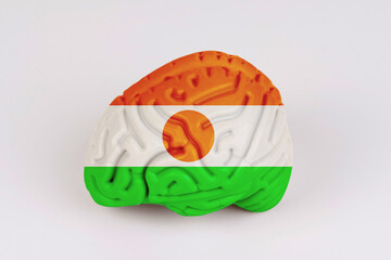 On a white background, a model of the brain with a picture of a flag - Niger