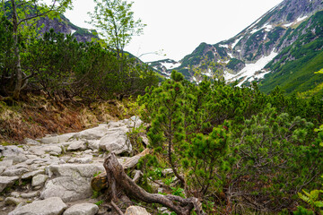 Fototapeta na wymiar Morskie Oko , hike and panorama in the Tatras mountains