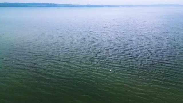 Drohne kreist um Schwäne und Vögel auf einem großen bewölkten See. Drohnenaufnahme, Nybøl Nor, Gravenstein, Graasten, Dänemark