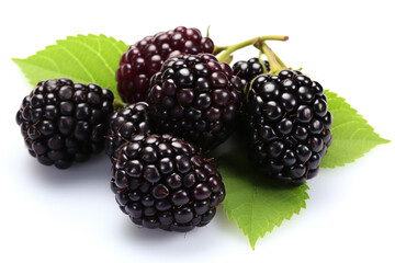 Closeup fresh blackberries fruit isolated on white background сreated with Generative Ai