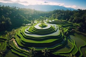 A majestic aerial perspective of terraced rice paddies, spiraling in lush green patterns against a backdrop of tropical foliage - obrazy, fototapety, plakaty