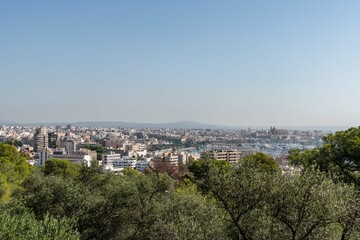 Fototapeta na wymiar panoramic view of a center of Palma de Mallorca