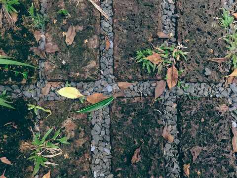 Outdoor landscape paving of a park close up