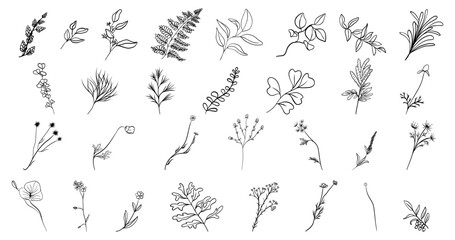 Hand drawn flowers bouquet wildflowers set floral leaves. Tattoo doodle outline drawings  line art illustration. Botanical rustic trendy greenery vector