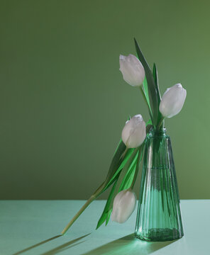 white tulips in green glass vase on green background