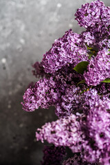 a large bouquet of blooming lilac