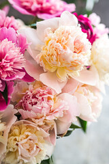 pink peonies for home decoration