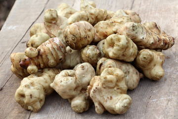 Collected Jerusalem artichoke tubers