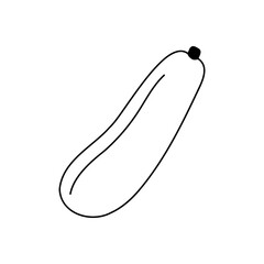 Black and white zucchini line icon. Vector illustration