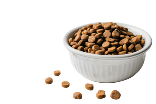 Pet food dish isolated on transparent background.