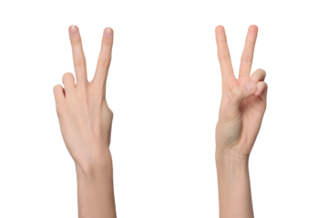 Two sides of female hands showing a V-sign by sticking up first two fingers in a V shape, as a sign of victory, isolated on transparent background, png file
