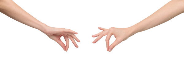 Two sides of female hand in a holding position by joining the thumb and index finger, isolated on...