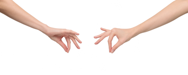 Two sides of female hand in a holding position by joining the thumb and index finger, isolated on transparent background, png file