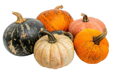 Red beans, bean grains, vegetable protein from beans Isolated on a transparent white background.