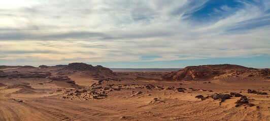 The expansive sandy desert, featuring solitary vegetation on arid terrain, and a stunning array of rocks shaped by nature during the sunset in Timimoun, the petite Tassili in Algeria.