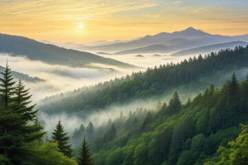 Obraz premium Beautiful landscape with fog in the mountains and forest. Natural background. Early morning mist