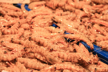 Fresh prawns for sale in the central market of Sanlucar de Barrameda