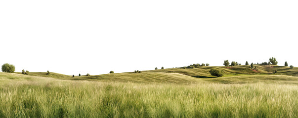 Rolling green hills adorned with lush trees, cut out - Powered by Adobe