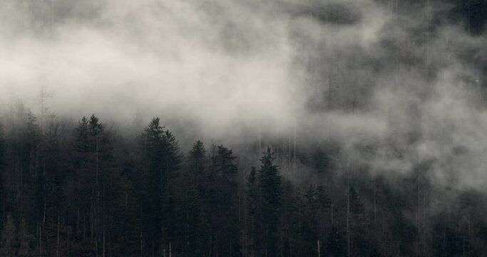 Nebel nach dem Regen in Österreichische Alpen.