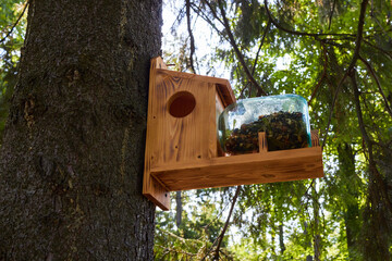 Photo a bird feeder on a tree with seeds.