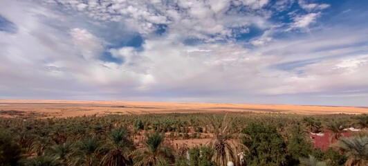 A sweeping panorama captures the oasis nestled in the midst of fine sandy desert, with agricultural fields stretching at the base of palm trees beneath a partly cloudy blue sky in Timimoun, Algeria.