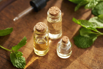 Three bottles of aromatherapy essential oil with fresh peppermint