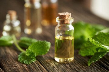 A bottle of essential oil with mint plant